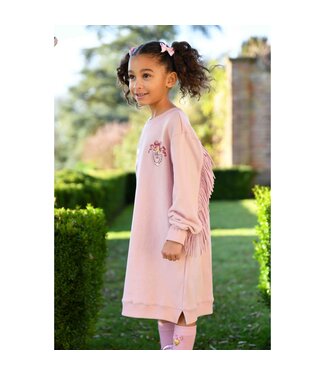 Angels Face JESSIE FRINGE DETAIL SWEAT DRESS VINTAGE ROSE