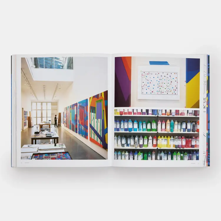 KAWS Book Phaidon Dan Nadel, Thomas Crow, Clare Lilley, Jason Schmidt