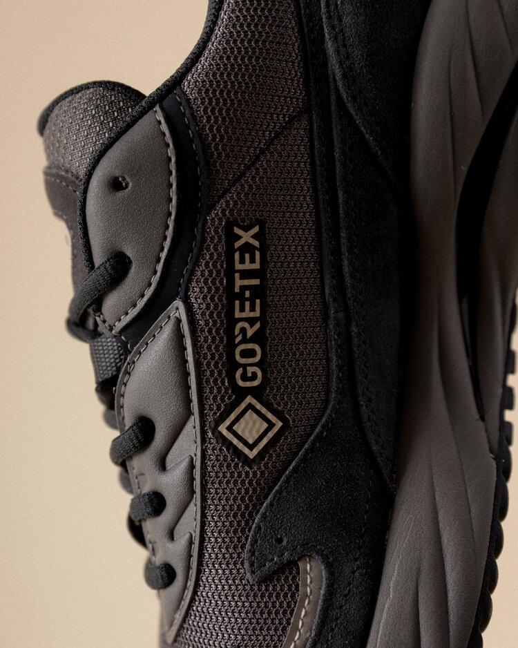 Mizuno Wave Rider ß GTX