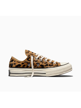 Converse Chuck 70 'Brown / Honey / Stick / Egret'