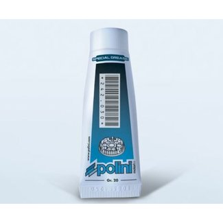 POLINI POLINI Speed control/speed drive variator grease 20gr