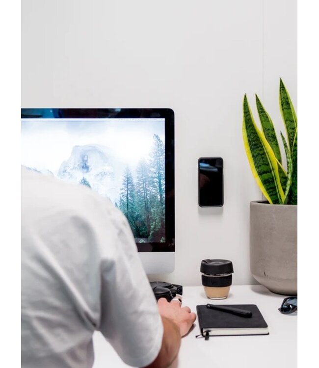 QUAD LOCK QUAD LOCK Adhesive Wall Mount