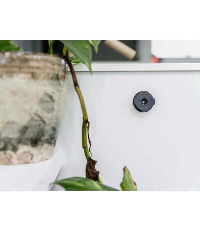 QUAD LOCK QUAD LOCK Adhesive Wall Mount