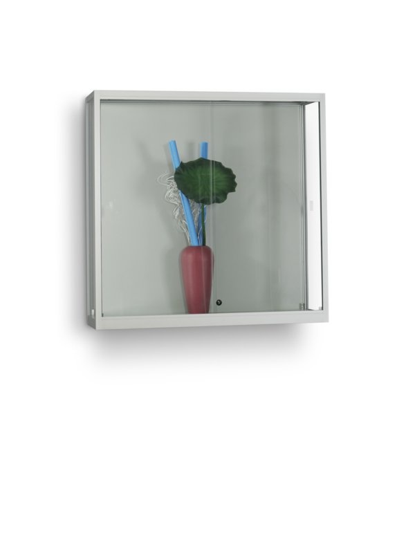 Wandvitrine WMS 1000 Silber eloxiert