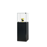 Pedestal showcase SV1 500 black with hinged door