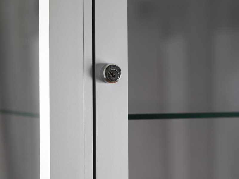 Vitrine stofdicht V8 500 zilver met LED plafondspots