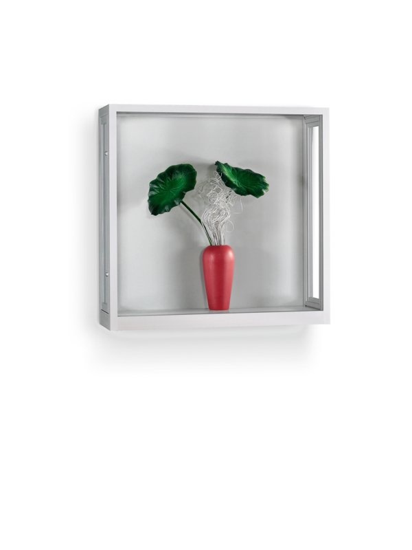 Wandvitrine V8 1000 silber - Staubdicht