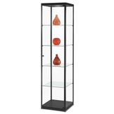 Vitrine MPC 500 schwarz mit LED Deckenspot