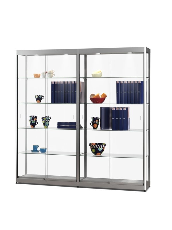 Vitrine GPC 1976 silber mit LED Deckenspots
