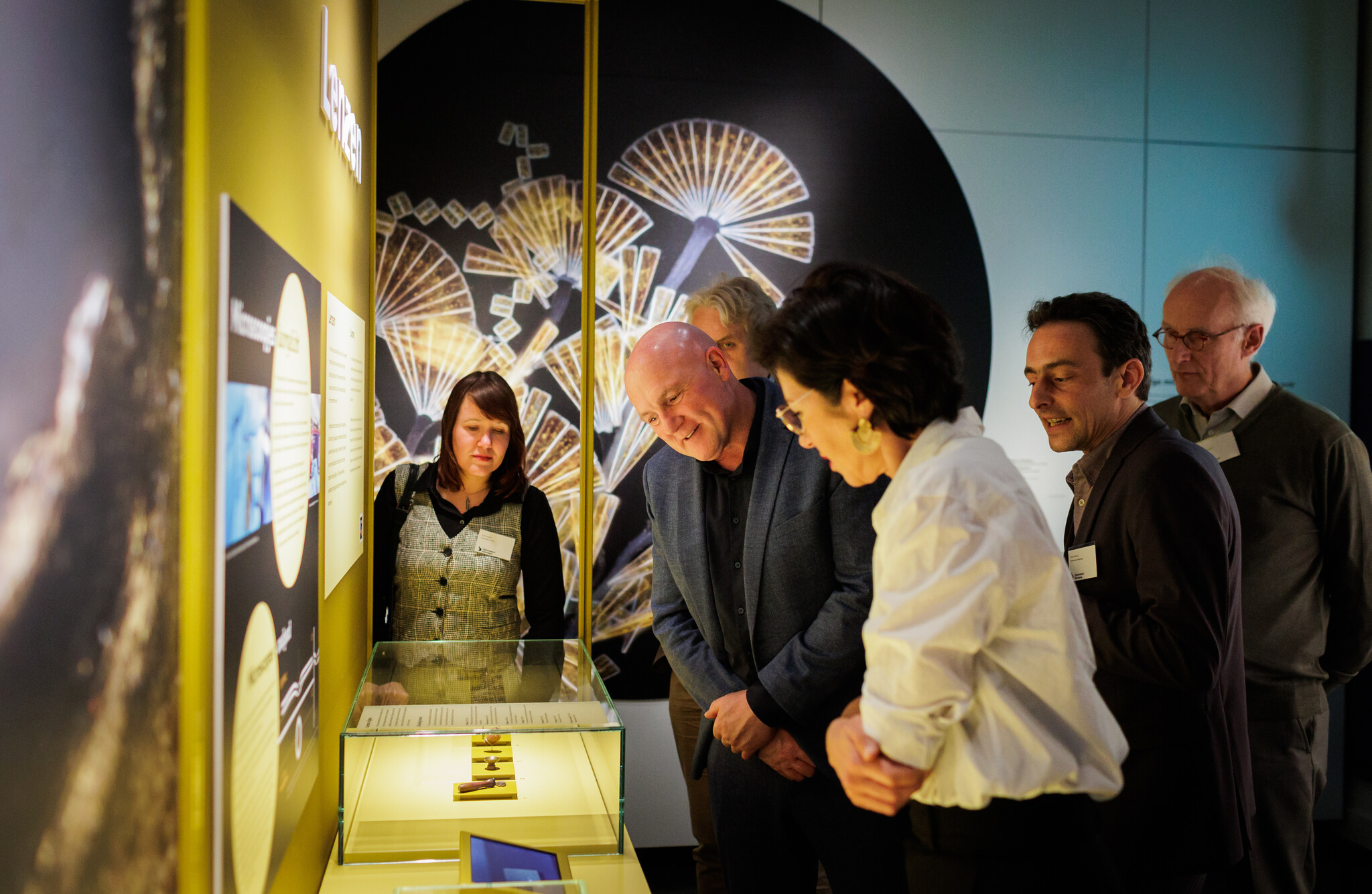 Stolpen SDB Vitrinebouw Onvoorstelbaar Tentoonstelling Rijksmuseum Boerhaave