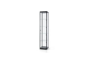 Vitrine 115 400 zwart met LED plafondspot en LED zijspots