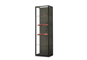 Vitrine 111 600 HAW schwarz mit LED Streifen