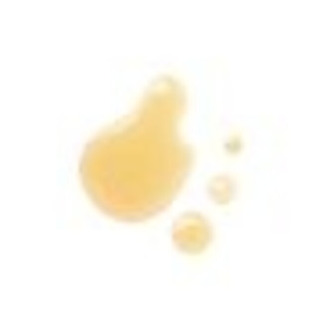 Mesoestetic GRASCONTROL LIPACTIVE SOLUTION -14x10ml