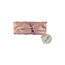 Le Chic Le Chic Meisjes Rue Hoofdband