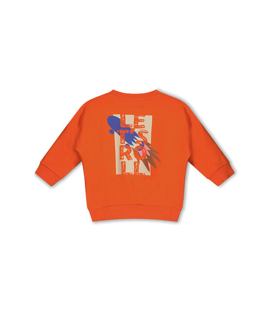 The New Chapter Meisjes Sweater Tyler The New Chapter Meisjes Sweater Tyler