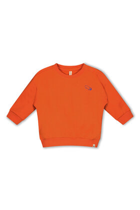 The New Chapter Meisjes Sweater Tyler