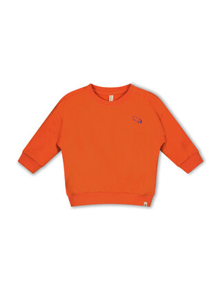 The New Chapter Meisjes Sweater Tyler