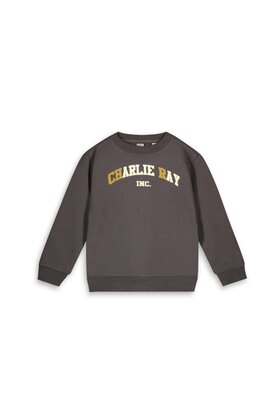 Like Flo Jongens Sweater Charlie