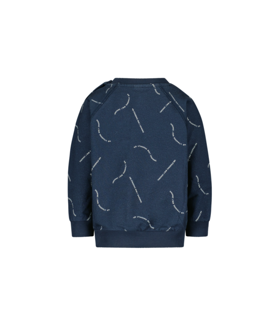 The New Chapter Jongens Sweater