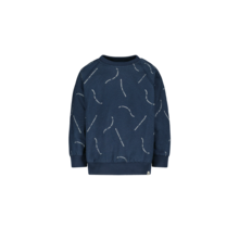 The New Chapter Jongens Sweater