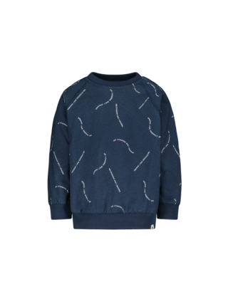 The New Chapter Jongens Sweater