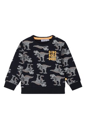 Dirkje Jongens Sweater