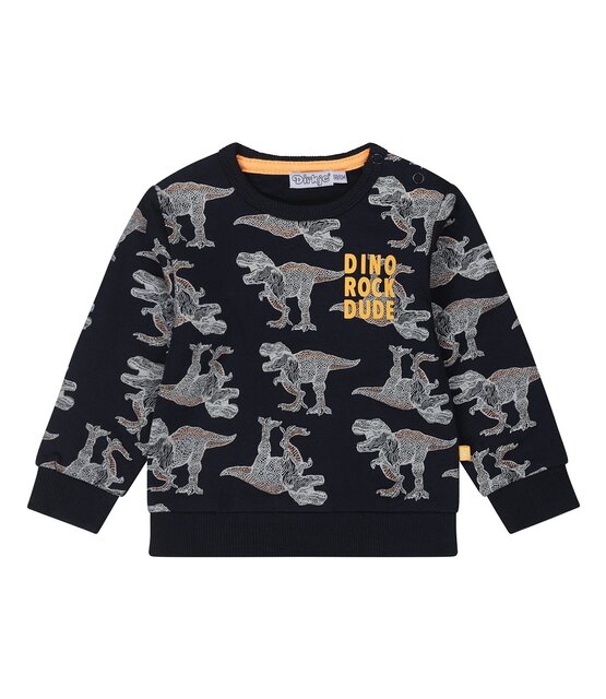 Dirkje Jongens Sweater