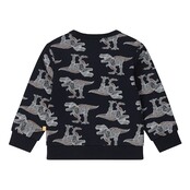 Dirkje Jongens Sweater