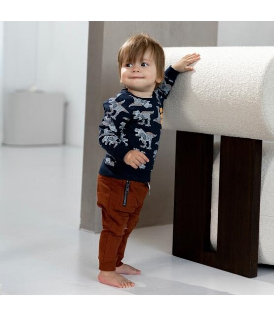 Dirkje Jongens Sweater