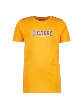 Raizzed Jongens T-Shirt Sheridan