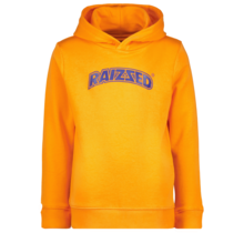 Raizzed Jongens Sweater Treyton