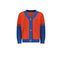 The New Chapter Jongens Vest Lenn