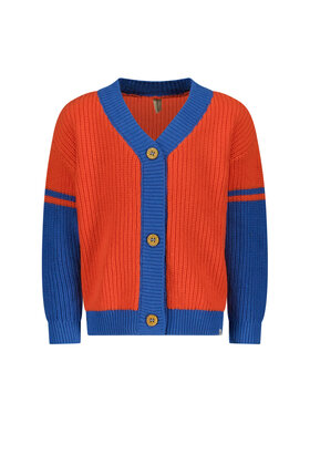 The New Chapter Jongens Vest Lenn