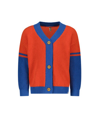 The New Chapter Jongens Vest Lenn