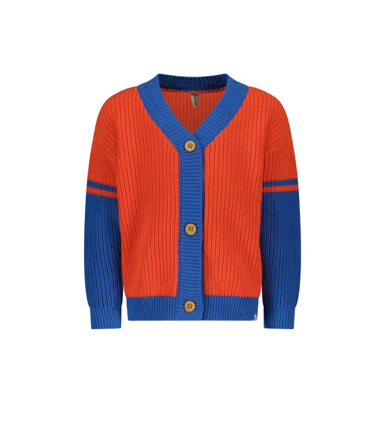 The New Chapter Jongens Vest Lenn The New Chapter Jongens Vest Lenn