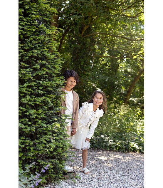 Le Chic Meisjes Rok Treacle