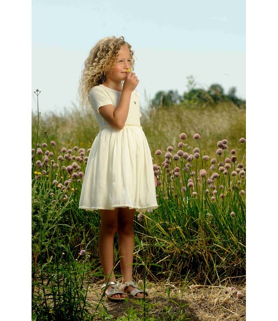 Le Chic Meisjes Jurk Smoor