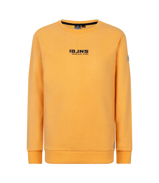 Indian Blue Jeans Jongens Sweater Indian Blue Jeans Jongens Sweater