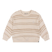 Daily7 Jongens Sweater Daily7 Jongens Sweater