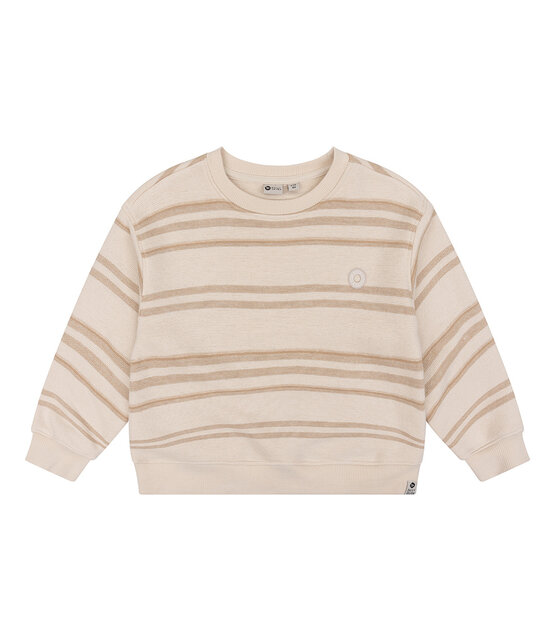 Daily7 Jongens Sweater Daily7 Jongens Sweater