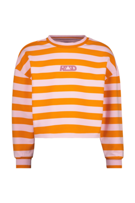 Raizzed Meisjes Sweater Valery