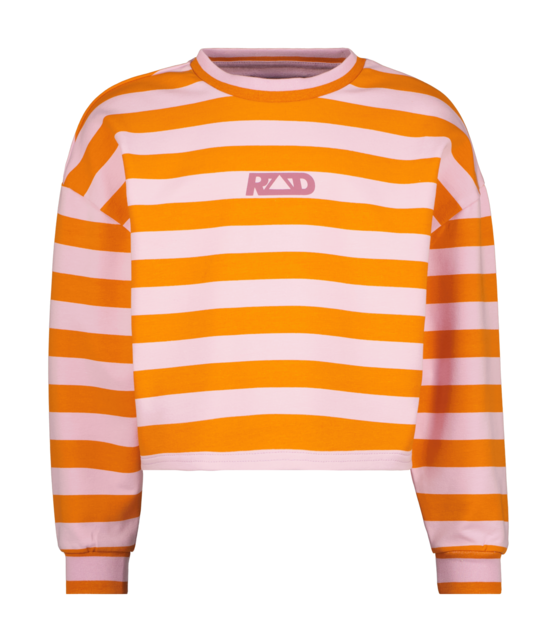 Raizzed Meisjes Sweater Valery