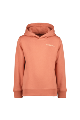 Raizzed Jongens Sweater Newfield