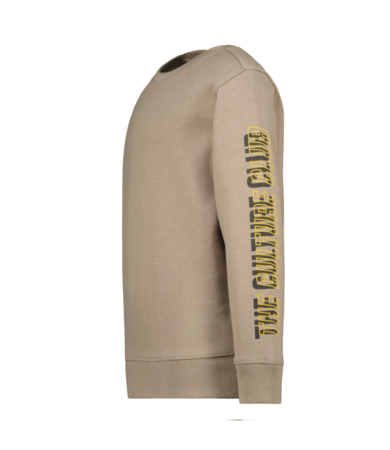 Raizzed Jongens Sweater Viceton