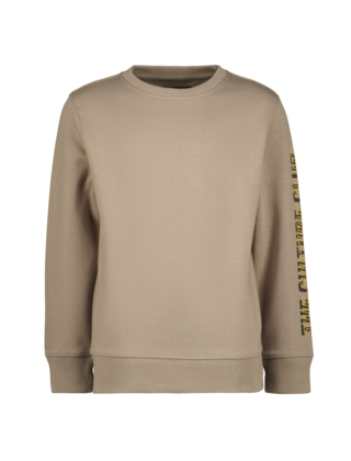 Raizzed Jongens Sweater Viceton