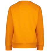 Raizzed Jongens Sweater Jardy