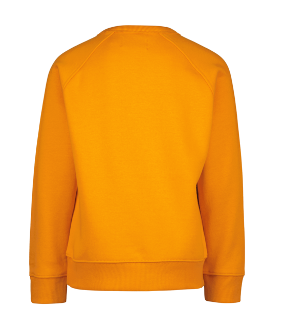 Raizzed Jongens Sweater Jardy