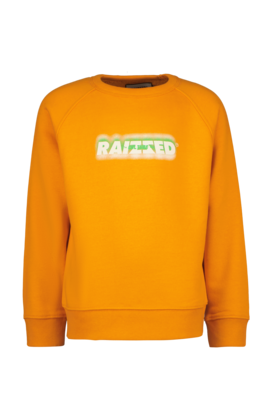 Raizzed Jongens Sweater Jardy