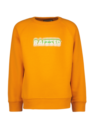 Raizzed Jongens Sweater Jardy