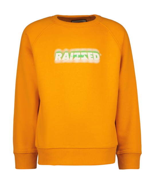 Raizzed Jongens Sweater Jardy